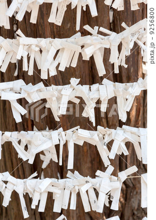 おみくじ 9256800