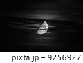 月夜 9256927