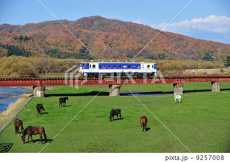 日高本線　蓬栄－日高三石　JR北海道　キハ40-351（苫小牧）　サラブレッド 9257008