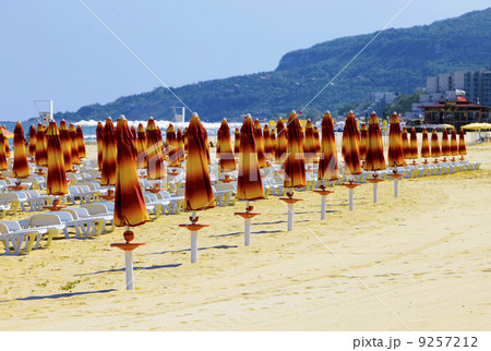 Deserted beach and beach umbrellas 9257212