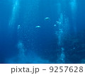 立ち上るエアー 9257628