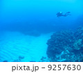 砂地とダイバー 9257630