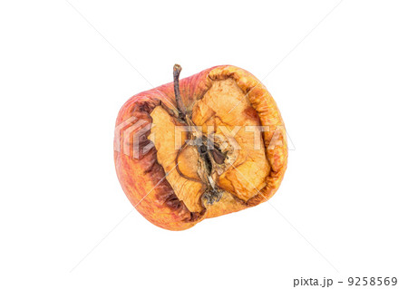 Wilt apple on isolated white background Wilt apple on isolated white background 9258569