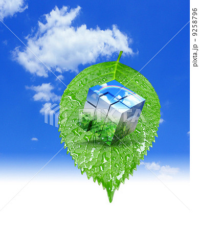 葉っぱの上の環境キューブ 9258796