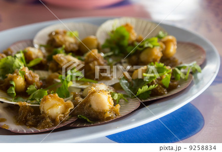 Grilled scallop with sauce in shell 9258834