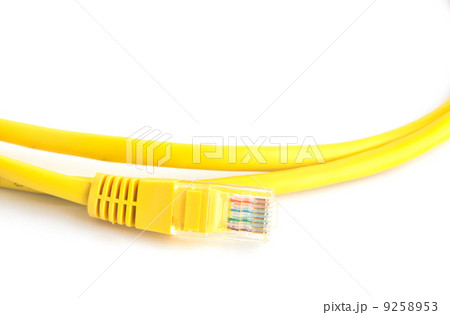 Yellow lan cable closeup on white background 9258953