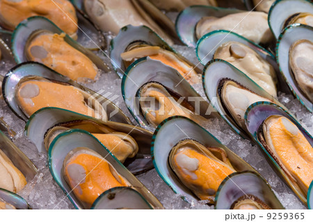 Fresh mussels on buffet line Fresh mussels on buffet line 9259365