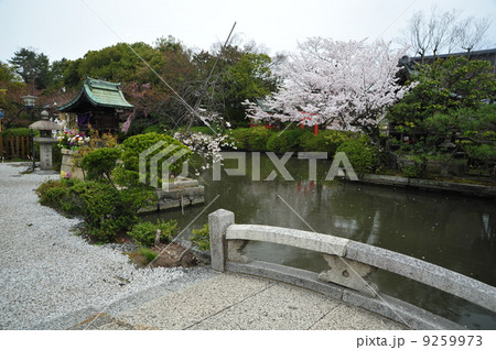 京都 神泉苑 京都 神泉苑 9259973