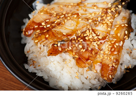 eel with rice eel with rice 9260265