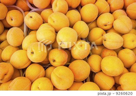 Fresh natural apricots Fresh natural apricots 9260620