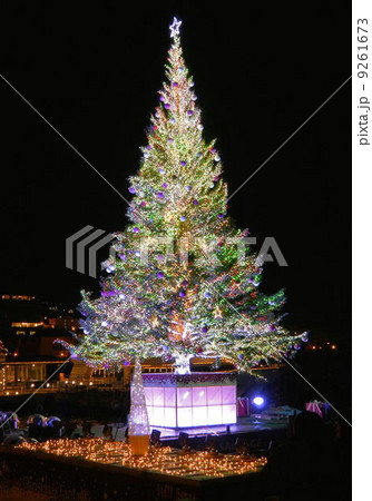 函館の巨大クリスマスツリー 9261673
