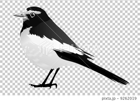 Seguro Sekirei的例證 9262019