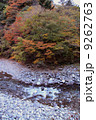 紅葉 9262763