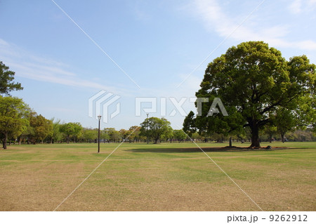 熊本城公園の広場 9262912