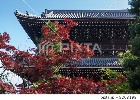 くろ谷 金戒光明寺 山門 くろ谷 金戒光明寺 山門 9263198