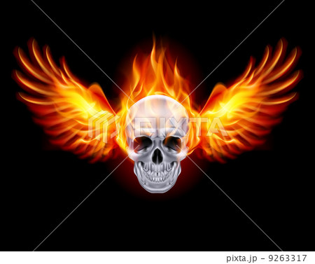 Fiery skull with fire wings. Fiery skull with fire wings. 9263317