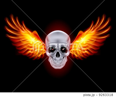 Skull with fire wings. Skull with fire wings. 9263318