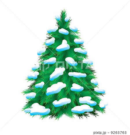Green fur-tree covered with snow Green fur-tree covered with snow 9263763