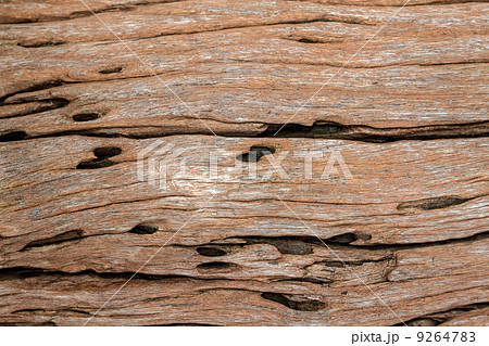 wood background wood background 9264783