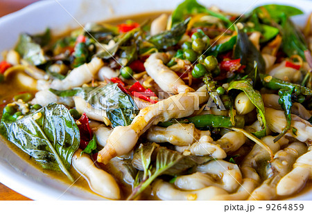 Razor clams spicy Stir-Fry Razor clams spicy Stir-Fry 9264859