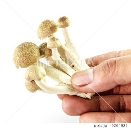 Mushroom with hand 9264925