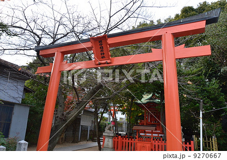 関守稲荷神社の「鳥居」(兵庫県神戸市須磨区関守町) 関守稲荷神社の「鳥居」(兵庫県神戸市須磨区関守町) 9270667