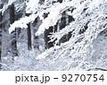 雪化粧 9270754