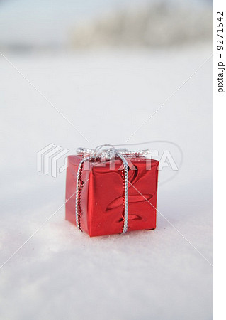 Christmas decoration snowy landscape 9271542