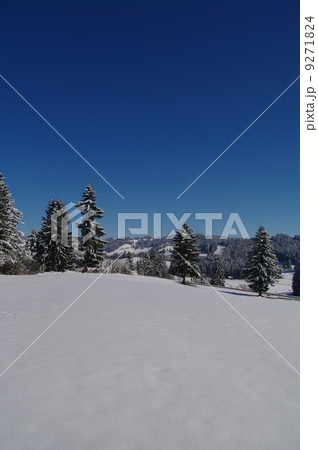 Christmas winter landscape 9271824