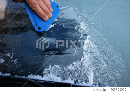 windshield 9272202
