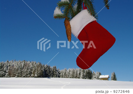 Santa sock hanging from Christmas tree outdoors Santa sock hanging from Christmas tree outdoors 9272646