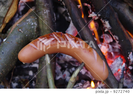 bbq sausage grilled campfire bbq sausage grilled campfire 9272740