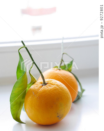 orange sheets 9272801