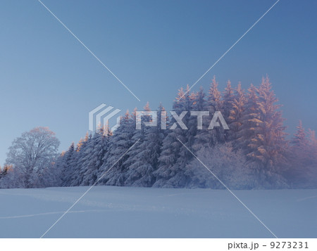 snow landscape winter 9273231