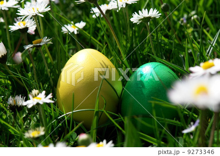 easter easter 9273346