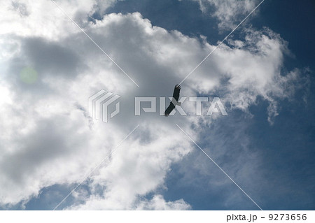 clouds clouds 9273656