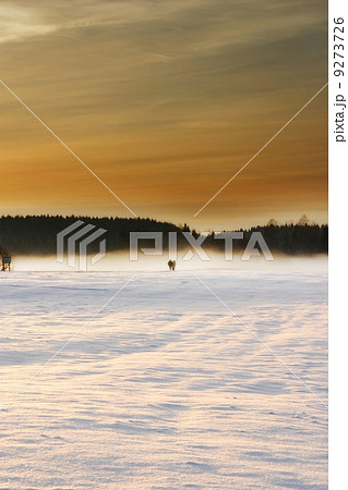 Winter Winter 9273726