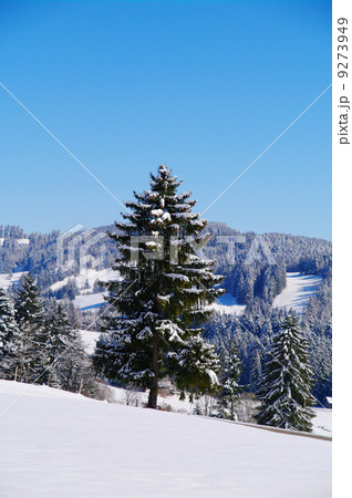 Christmas winter landscape Christmas winter landscape 9273949