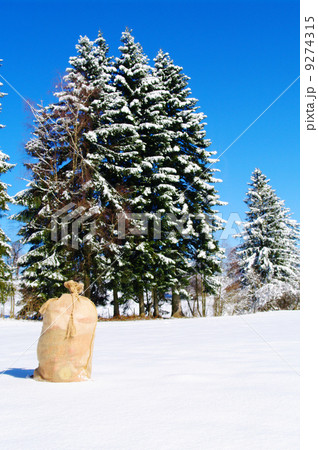 Christmas Santa Claus bag outside in winter landscape 9274315