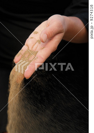 Time runs loss lost 9274316