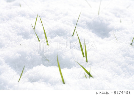 Winter Winter 9274433