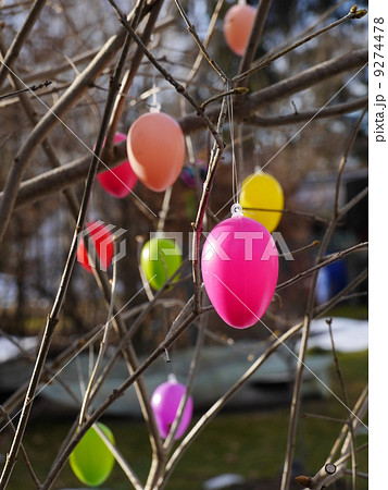 Easter eggs hanging on branches Easter eggs hanging on branches 9274478