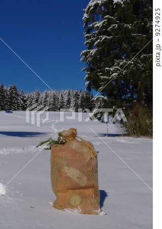 Santa Claus bag 9274925