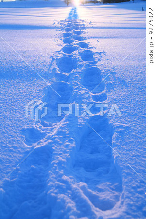 Snowshoes 9275022