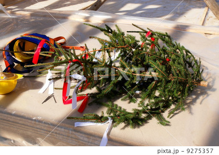 tree for roofing ceremony 9275357