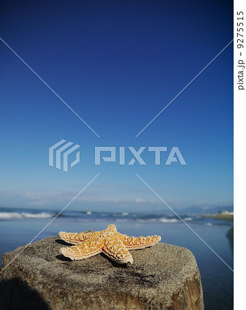 starfish beach vacation 9275515
