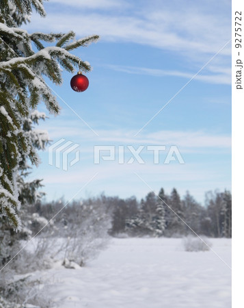 Christmas Ornament Christmas Ornament 9275722
