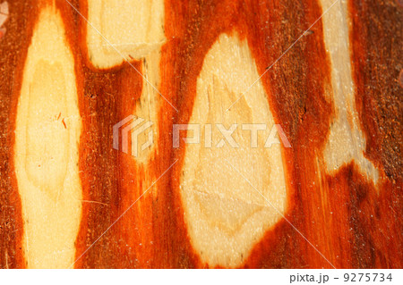 Detail of wood surface Detail of wood surface 9275734