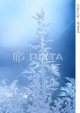 ice frost window macro ice frost window macro 9275811