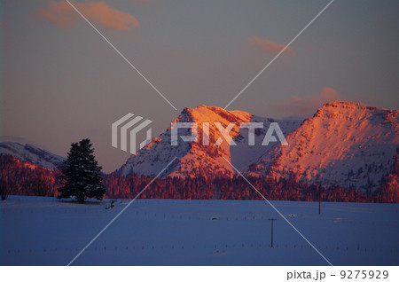Winter mountains on a bright sunny day 9275929